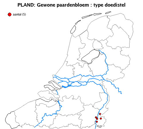 doedistel